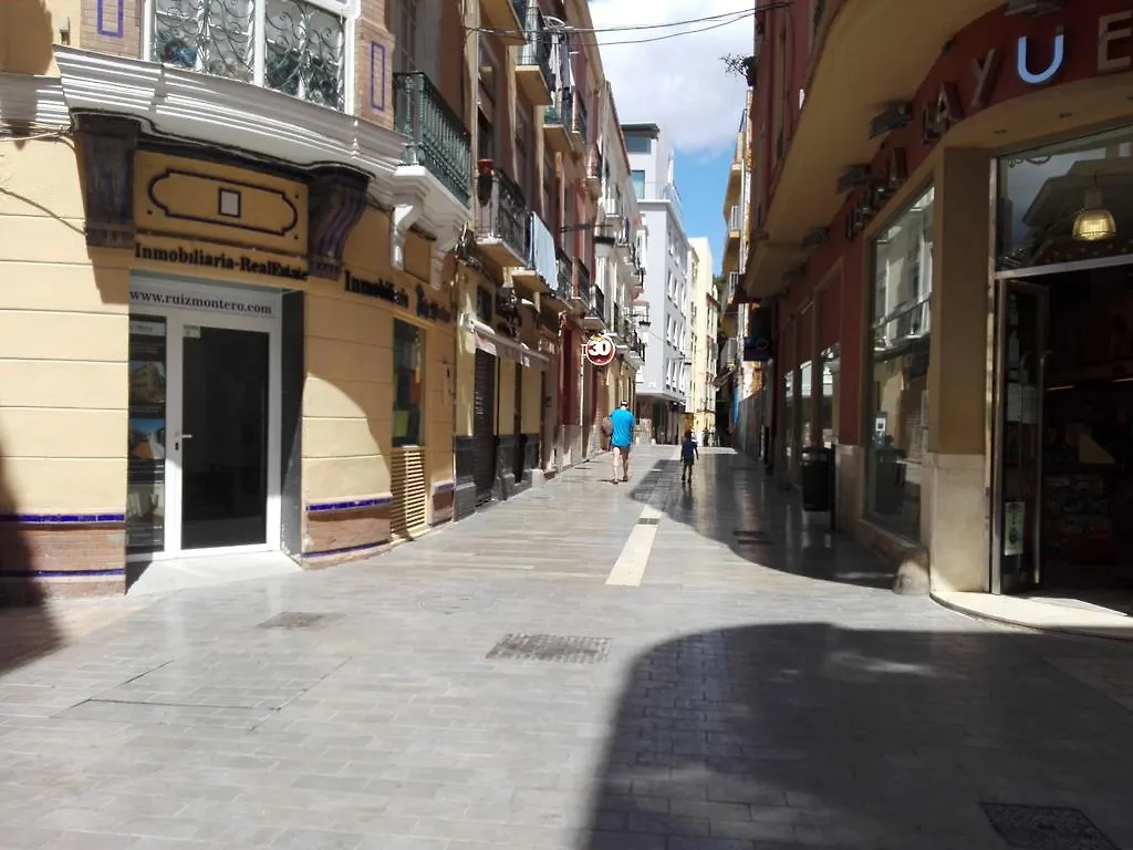Atico Plaza Del Teatro Hotel Malaga Apartment